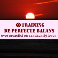 Training de perfecte balans_1